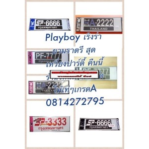 /img/p/81-728-thickbox.jpg